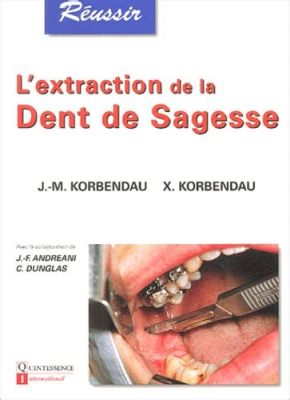  Le Quintessence de la Sagesse: Quête Inattendue pour le Savoir Ultime en 15ème Siècle Indonésien